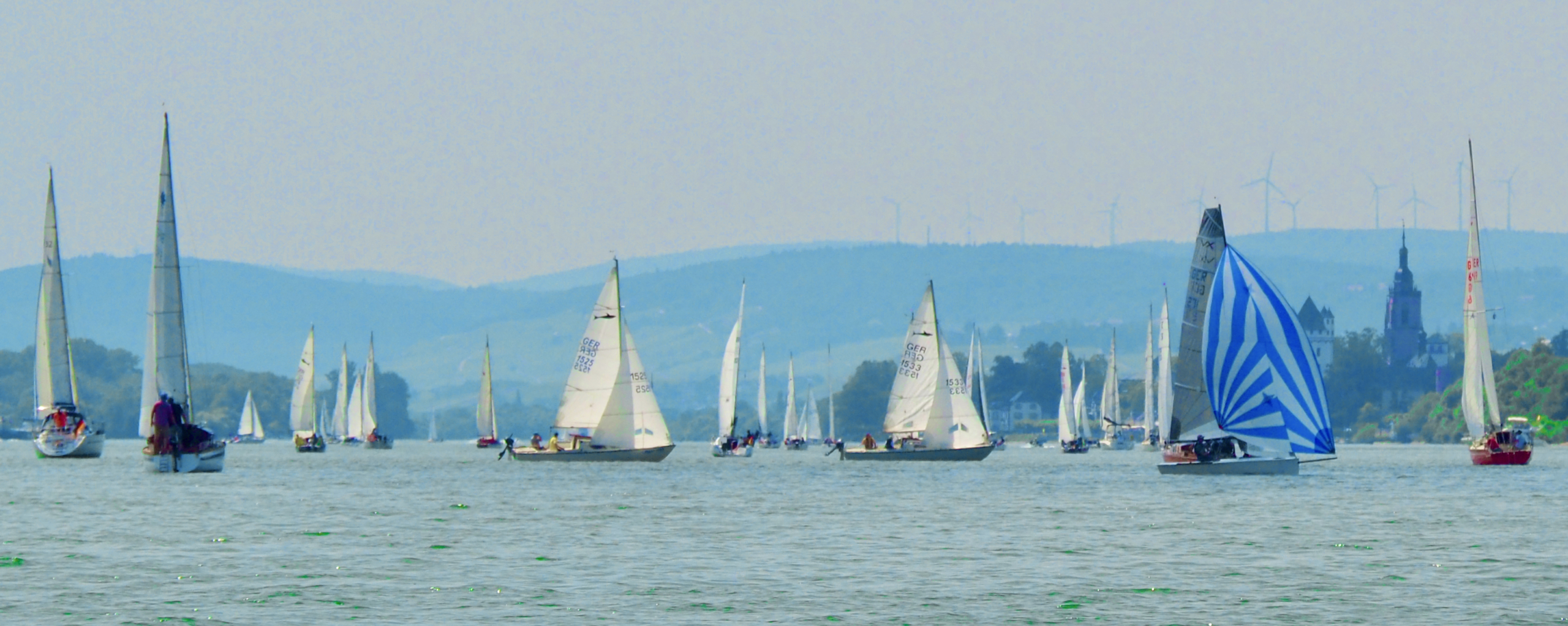 Segeln im Rheingau