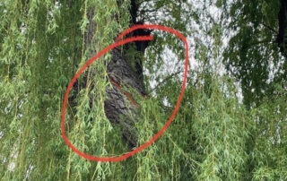 Blitzschaden im SCR