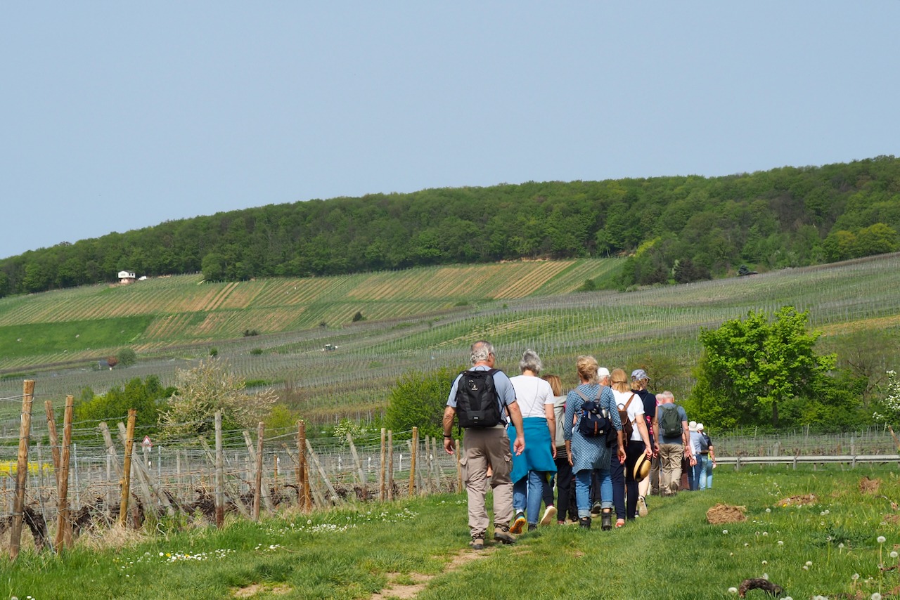 Weinwanderung 2024