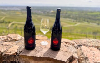 Weinwanderung