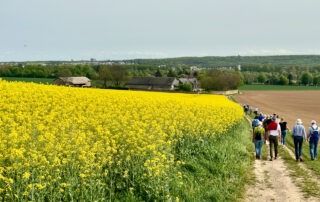 Weinwanderung 2024