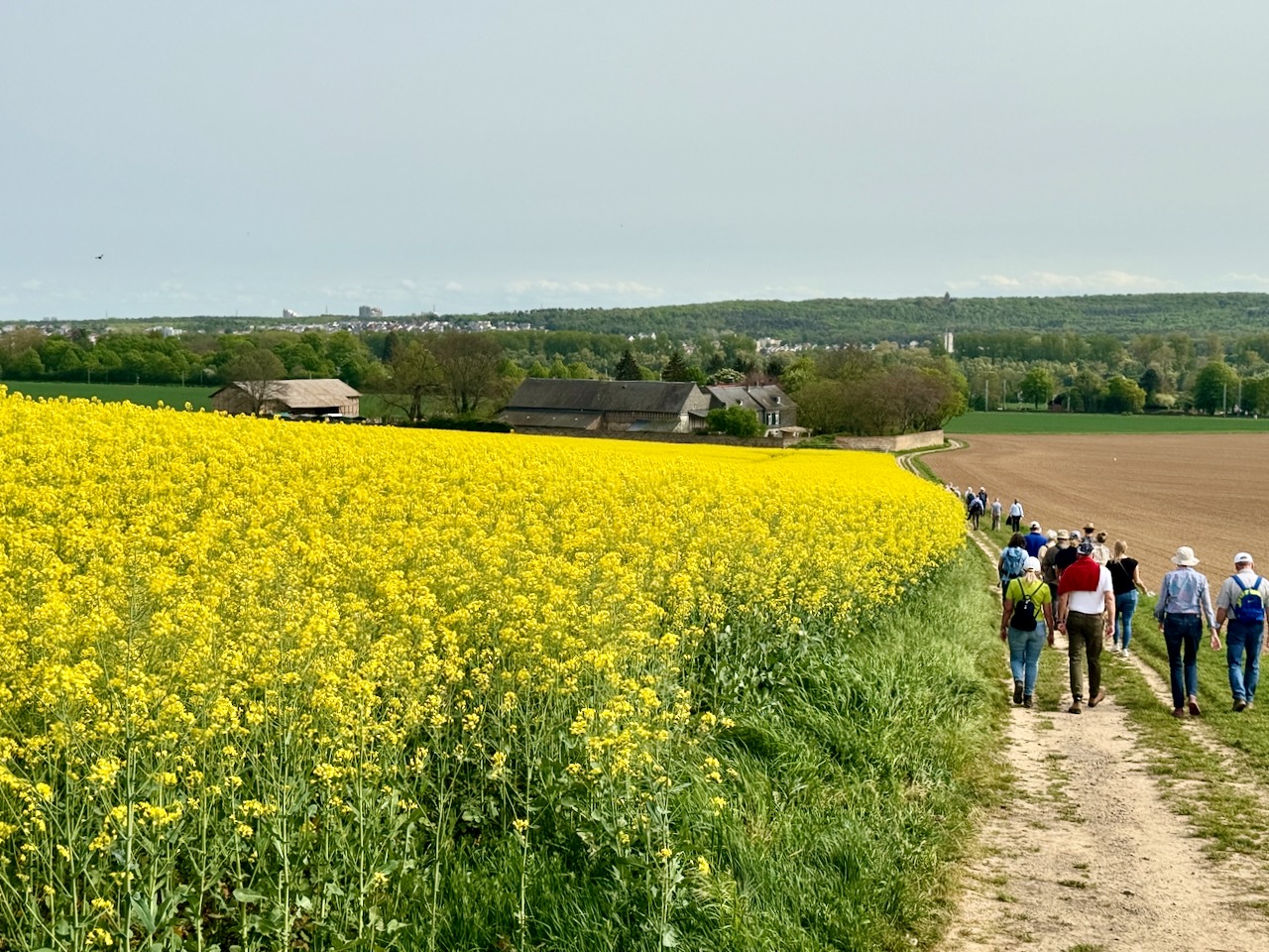 Weinwanderung 2024