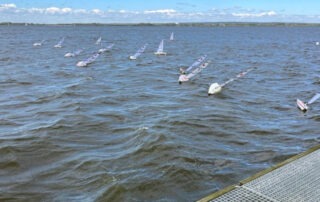 IDM RC Laser