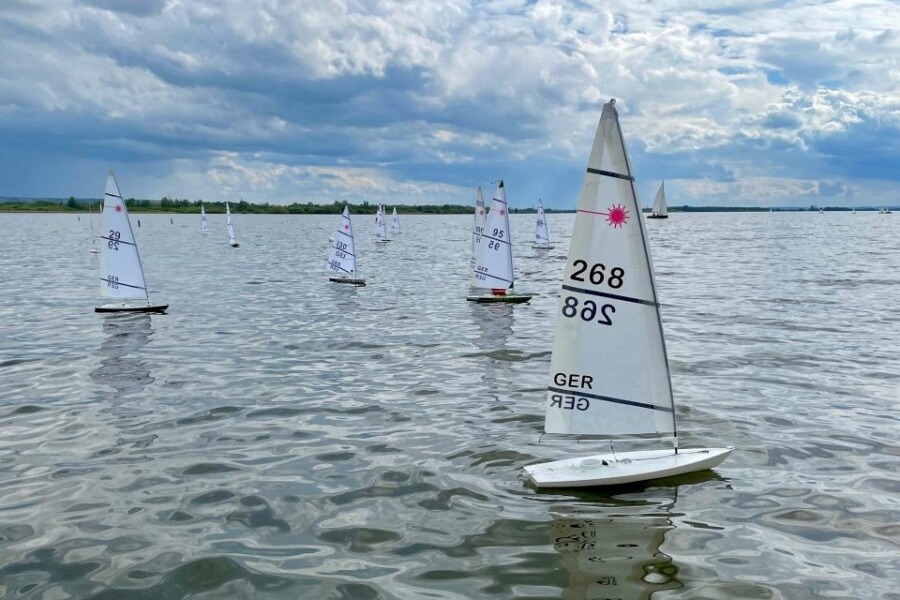 IDM RC Laser