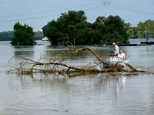 Hochwasser Juni 24