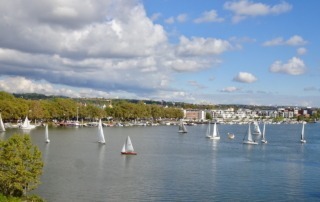 Einhandregatta 2024
