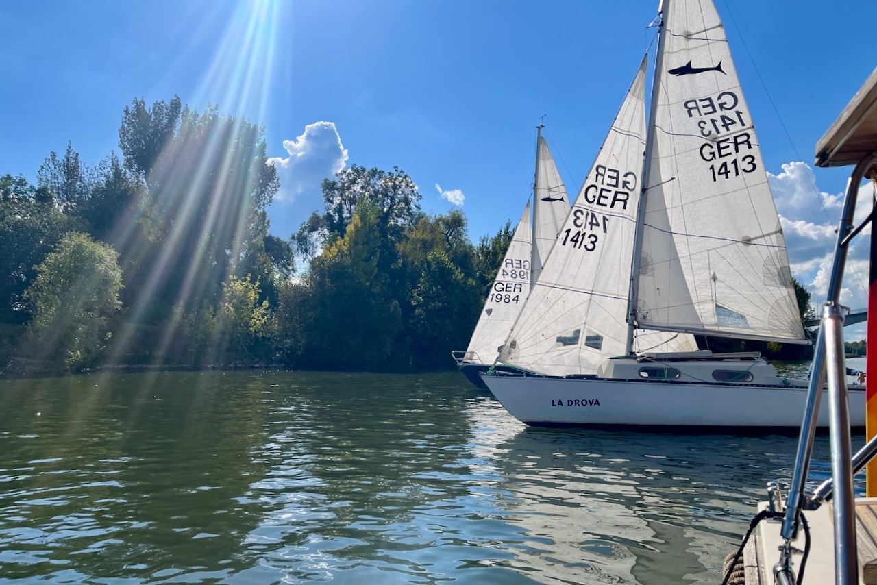 Einhandregatta 2024