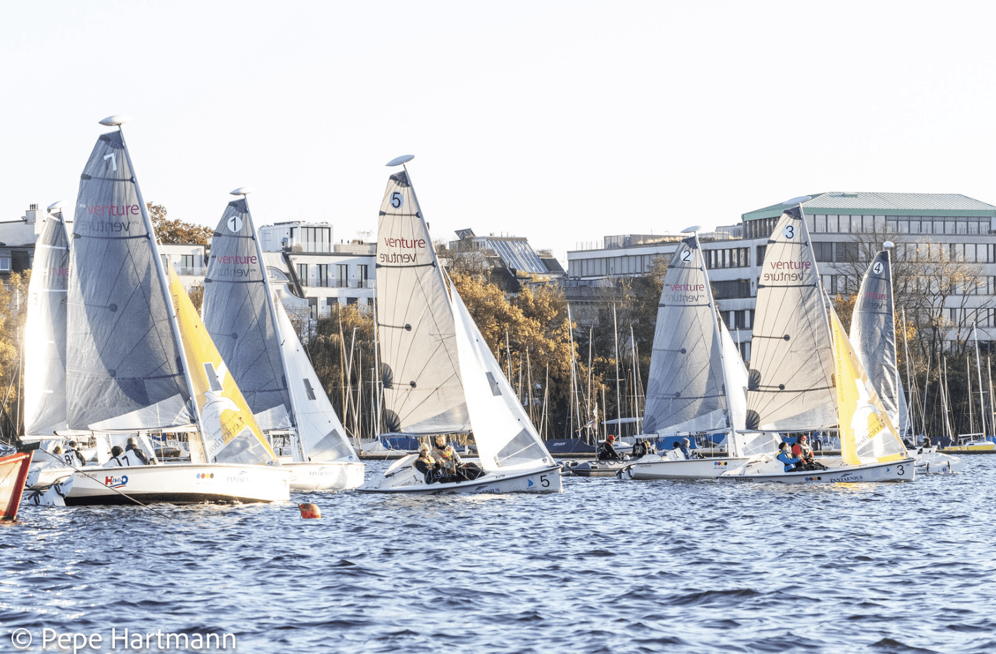 SCR-Segler bei der Meisterschaft der Meister auf der Außenalster in Hamburg
