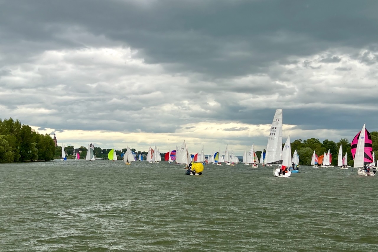 Die Rheinwoche 2025 im Segelclub Rheingau