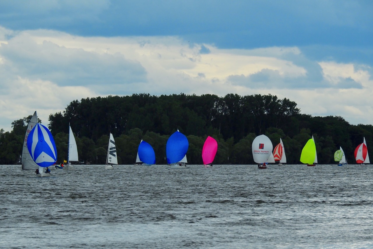 Die Rheinwoche 2025 im Segelclub Rheingau