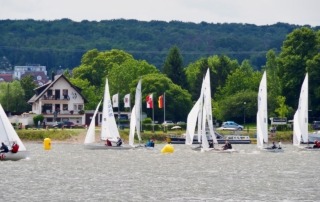 Die Rheinwoche 2025 im Segelclub Rheingau