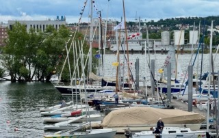 Die Rheinwoche 2025 im Segelclub Rheingau