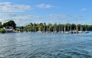 Die Rheinwoche 2025 im Segelclub Rheingau