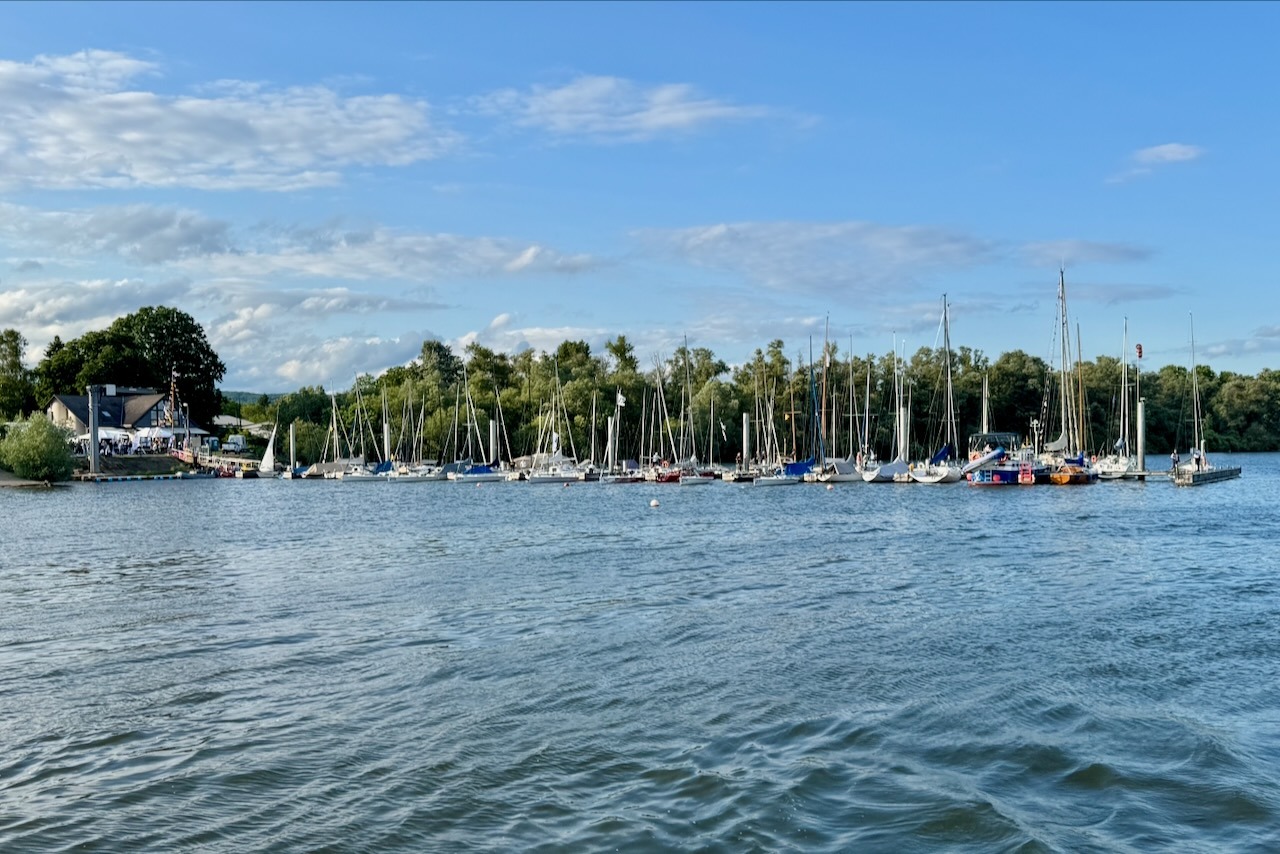 Die Rheinwoche 2025 im Segelclub Rheingau
