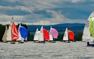 Regatta auf dem Rhein